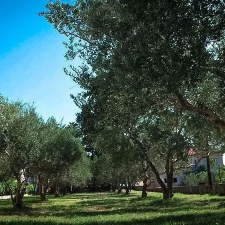 Modernes In Mit Terrasse, Garten Und Grill بيت للعطل *